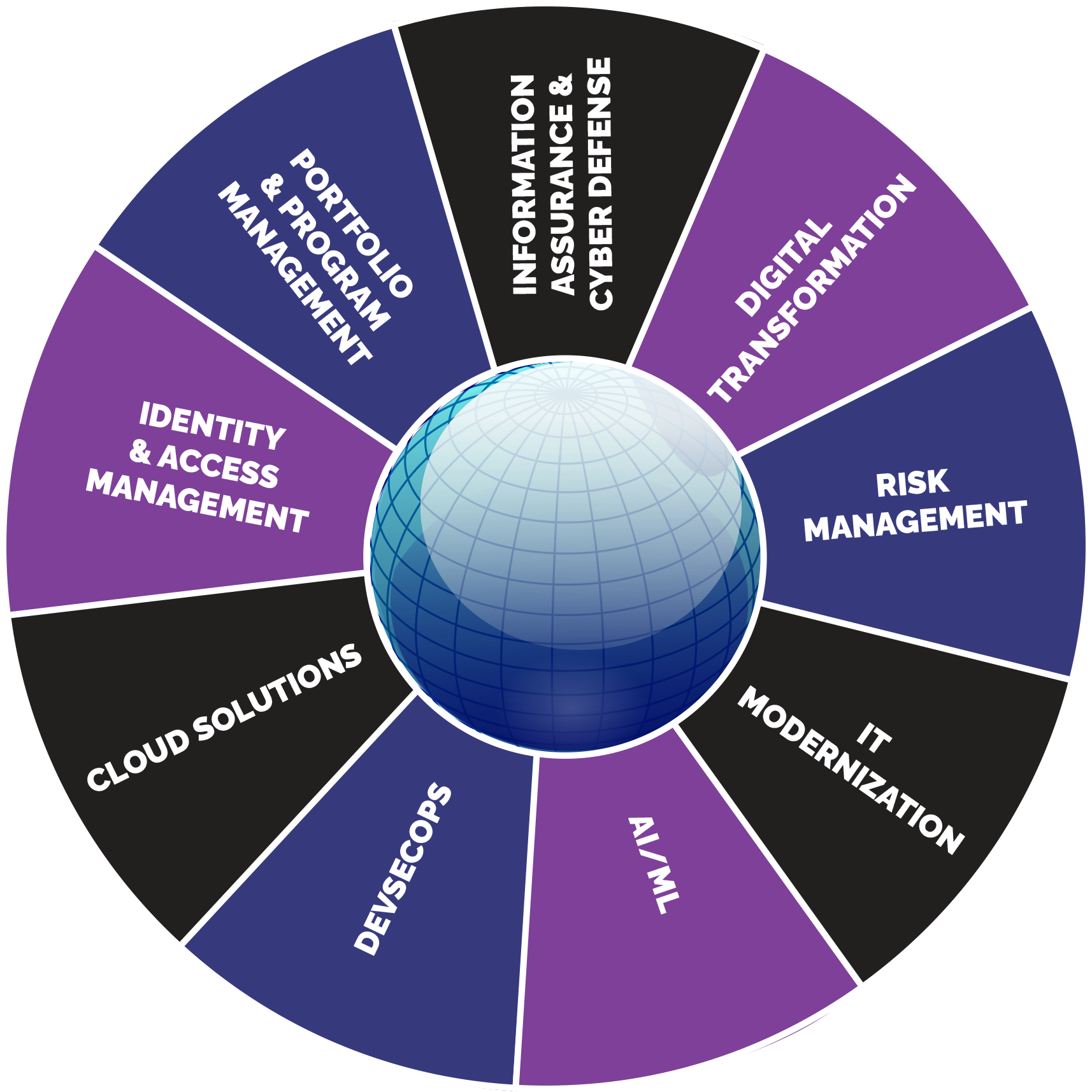 Information Assurance & Cyber Defense, Digital Transformation, Risk Management, IT Modernization, AI/ML, DevSecOps, Cloud Solutions, Identity & Access Management, Portfolio & Program Management